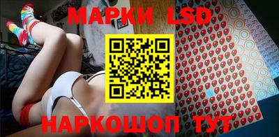 шишки Заволжье