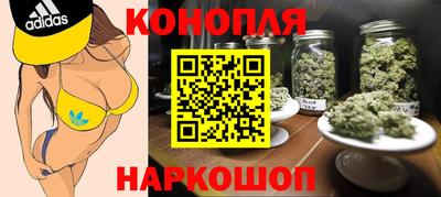 шишки Заволжье