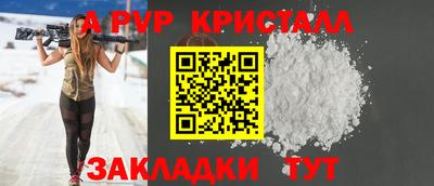 шишки Заволжье