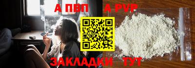 шишки Заволжье
