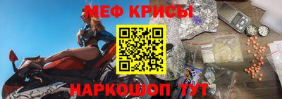 шишки Заволжье