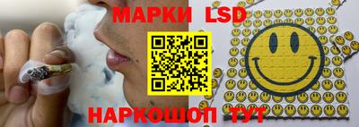 шишки Заволжье