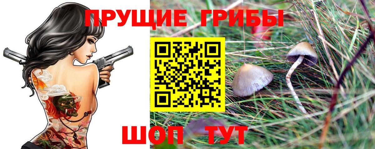 Псилоцибиновые грибы Magic Shrooms  Вход с VPN  Киржач 